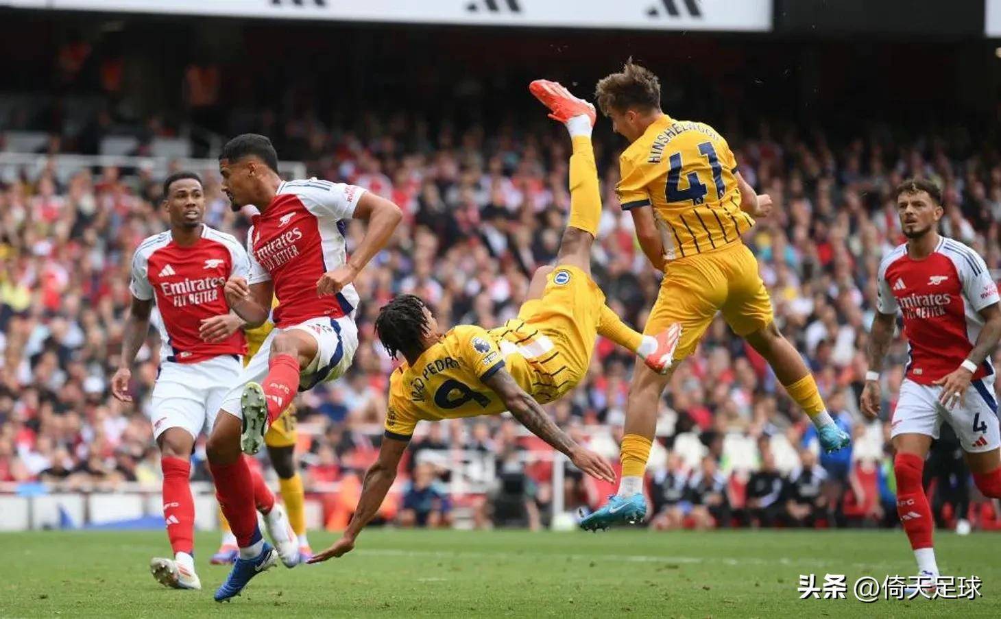 荷兰足协及所有荷兰俱乐部发布声明：呼吁对闹事球迷提起诉讼（荷兰足协与各俱乐部发联合声明：呼吁依法起诉闹事球迷）